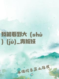 我能看到大數(shù)據(jù)