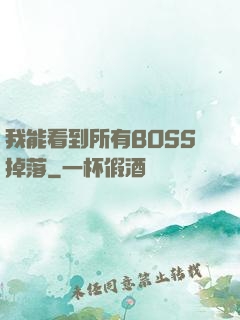 我能看到所有BOSS掉落