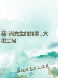 我與肖先生的故事