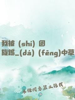 我被時(shí)間回旋踢