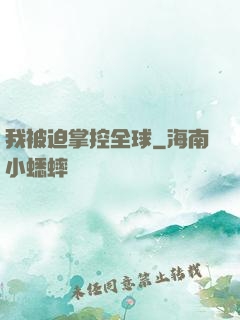 我被迫掌控全球