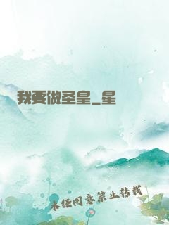 我要做圣皇