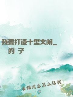 我要打造十型文明
