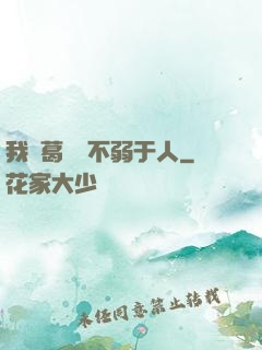 我諸葛寶寶不弱于人