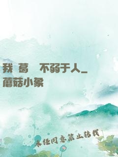 我諸葛寶寶不弱于人