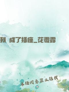 我變成了插座