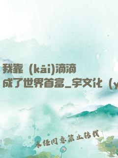 我靠開(kāi)滴滴成了世界首富