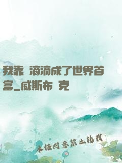 我靠開滴滴成了世界首富