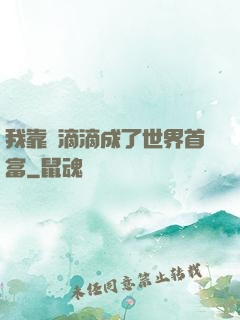 我靠開滴滴成了世界首富