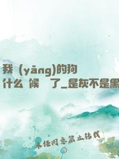我養(yǎng)的狗什么時候無敵了