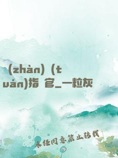 戰(zhàn)團(tuán)指揮官