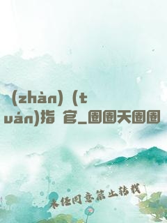 戰(zhàn)團(tuán)指揮官