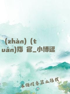 戰(zhàn)團(tuán)指揮官