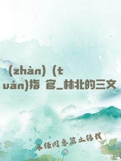戰(zhàn)團(tuán)指揮官