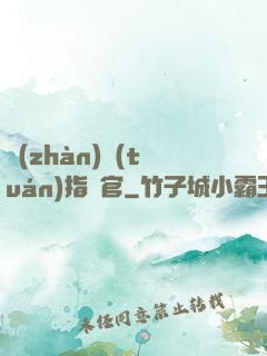 戰(zhàn)團(tuán)指揮官