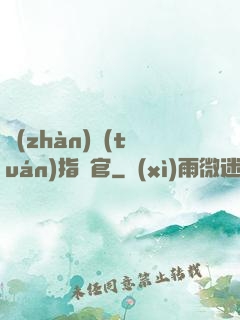 戰(zhàn)團(tuán)指揮官