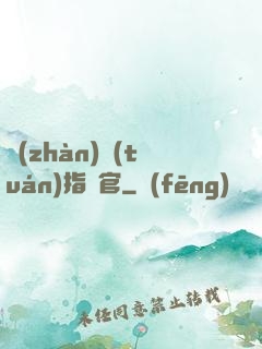 戰(zhàn)團(tuán)指揮官