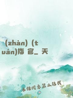戰(zhàn)團(tuán)指揮官