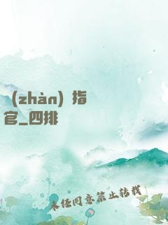 戰(zhàn)團指揮官