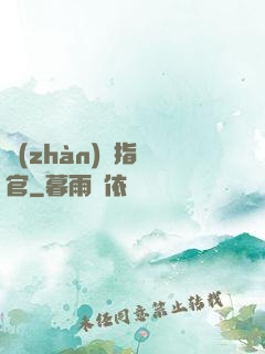戰(zhàn)團指揮官