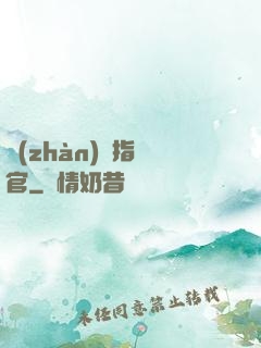 戰(zhàn)團指揮官