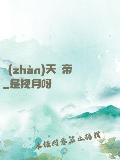 戰(zhàn)天劍帝