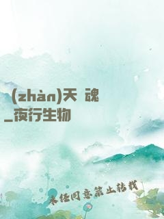 戰(zhàn)天龍魂