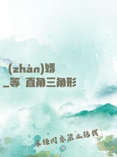 戰(zhàn)婿歸來