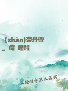 戰(zhàn)帝丹尊