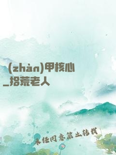 戰(zhàn)甲核心