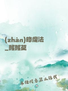戰(zhàn)略魔法師