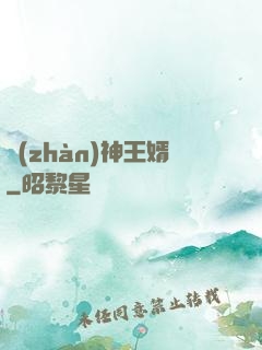 戰(zhàn)神王婿