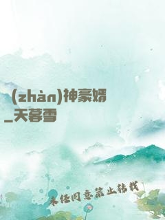 戰(zhàn)神豪婿