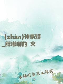戰(zhàn)神豪婿