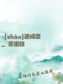 戰(zhàn)道成圣