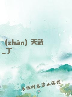 戰(zhàn)靈天武