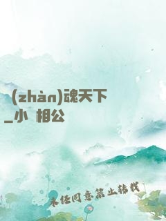 戰(zhàn)魂天下