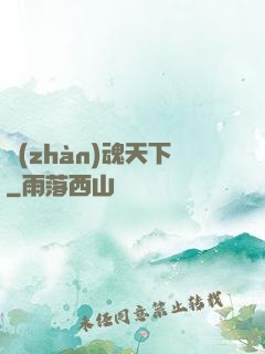 戰(zhàn)魂天下