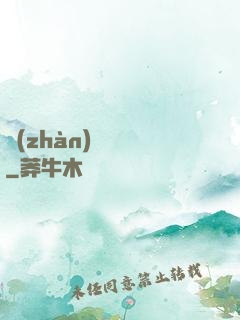 戰(zhàn)龍歸來