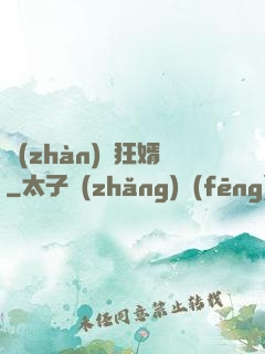 戰(zhàn)龍狂婿