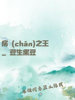 房產(chǎn)之王