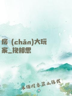 房產(chǎn)大玩家