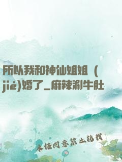 所以我和神仙姐姐結(jié)婚了