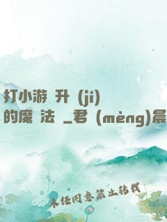 打小游戲升級(jí)的魔劍法師