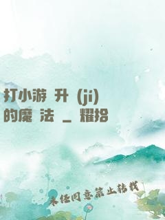 打小游戲升級(jí)的魔劍法師