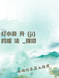 打小游戲升級(jí)的魔劍法師