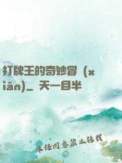打牌王的奇妙冒險(xiǎn)