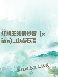 打牌王的奇妙冒險(xiǎn)