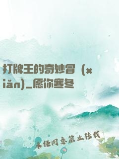 打牌王的奇妙冒險(xiǎn)