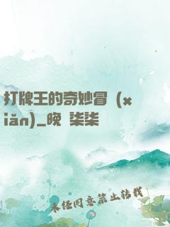 打牌王的奇妙冒險(xiǎn)